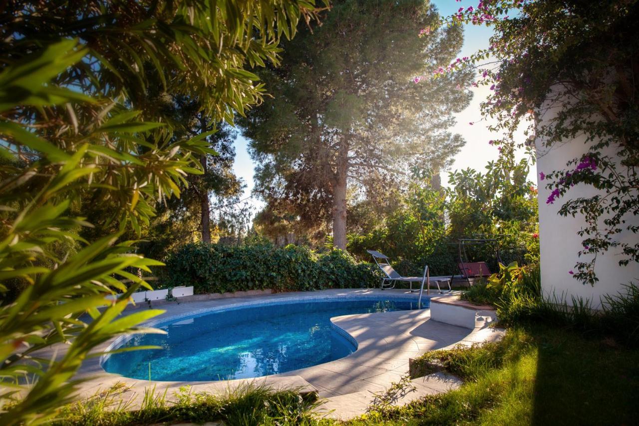 Finca Palmers ミハス エクステリア 写真